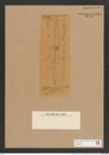 Amphipleura maxima (de-Toni-Nr.: Genus 10, Species 990) Zeichnungen Sammlung Grunow Nr. 1868 (NHMW-BOT-W0368819)